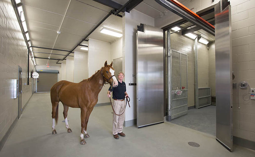 A man standing next to a horse in an indoor arena.
