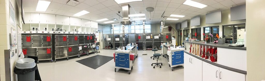 A large room with many different types of medical equipment.